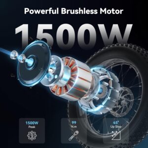 Electric Bike